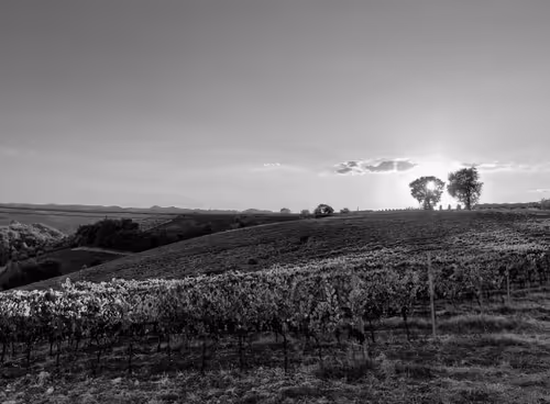 Item #44700108579651333138667542629820837396884608340507399849221760748344796250113 Media