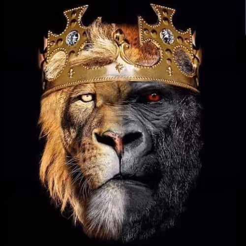 Untitled Collection #117184207