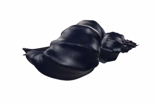 Item #101986064897505636192511017458813156695915810452106734016551982847380108083201 Media