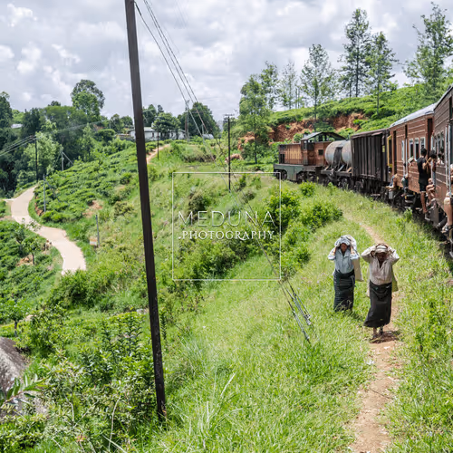 Item #112381046722962836592974674419935165827730707126809541689433939943790779301898 Media