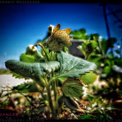 3787080761074609709675817509753112159059746763483256848434353790892873089025