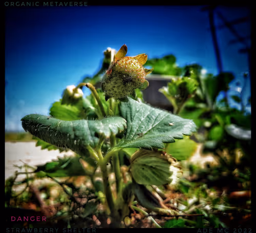 Item #3787080761074609709675817509753112159059746763483256848434353790892873089025 Media