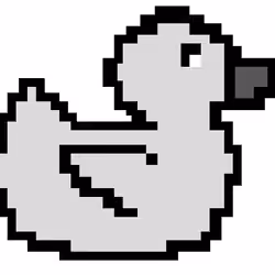 Quack & White