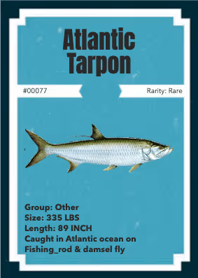 Atlantic Tarpon