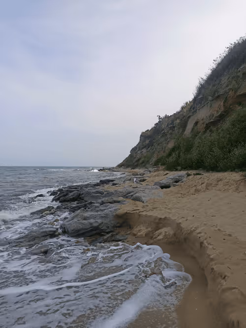 Item #55807924163620882743305652927464896138649887097193374139054959739091636191235 Media