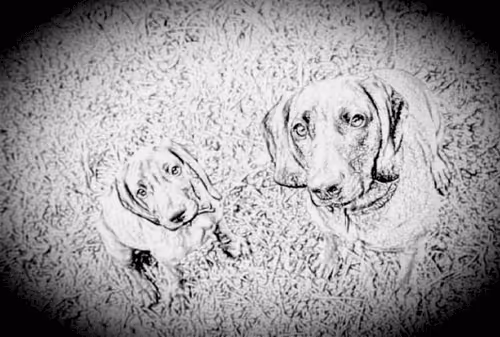 Item #23143313246472061328071561115701105421589606567298838424350448146738545950721 Media