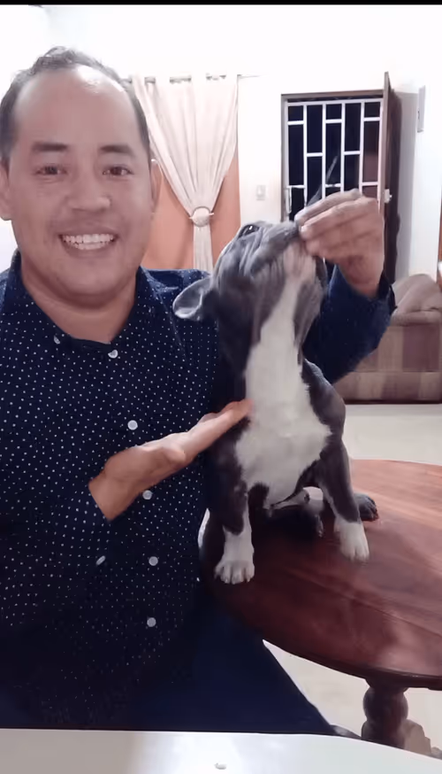 Item #32237202173720727343948986965561335091197107318394763909165930988003980738561 Media