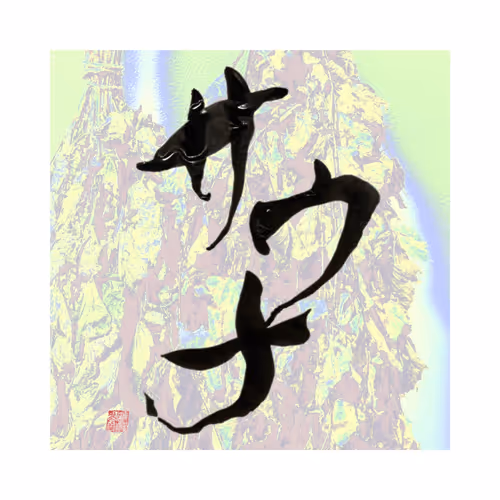 Item #69963289625873780075159906247721227463381325575472447281375270700058304053249 Media