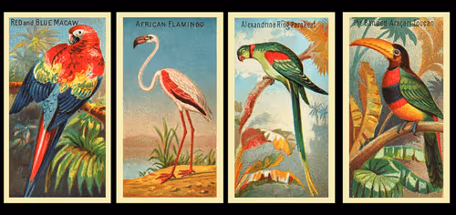 Item #29469762708973987410534374363082415391887994407260107380267554475520334758888 Media