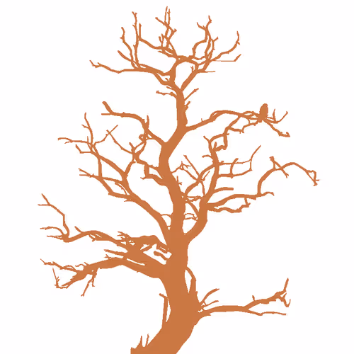 Item #28584310891482146390254294675559111591300807555565075434256981957600826359833 Media