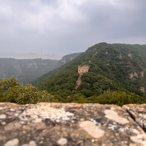 Untitled Collection #435547068