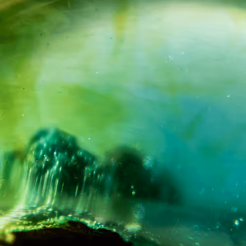 Item #8251270981130702250905355697814279819197198943221984468281114993168343891969 Media