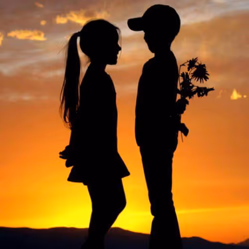 Untitled Collection #49744173