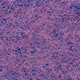 37671797252818830032645010018488858802778721291022166209366081464160162414593