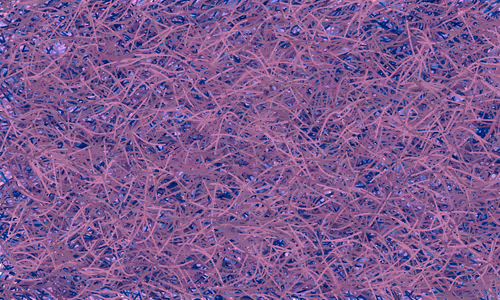 Item #37671797252818830032645010018488858802778721291022166209366081464160162414593 Media