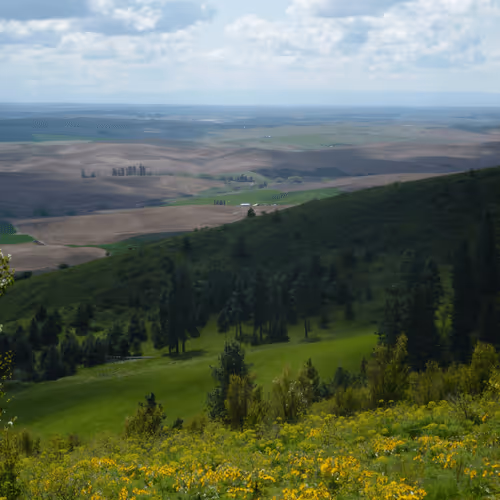 58794710509392551542040062735070557949504527085713565262229554307060520189953