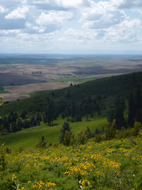 Item #58794710509392551542040062735070557949504527085713565262229554307060520189953 Media