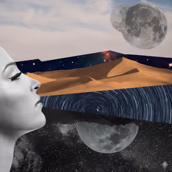 Cosmic Landscapes