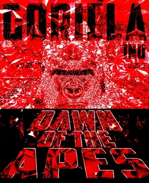 Item #48790520787155310426102062731270564561928034817995506544027698546950348472350 Media