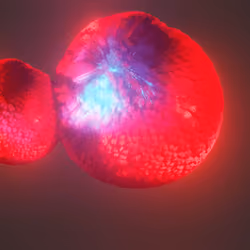 Fuzzy balls #9