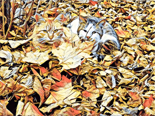 Item #46397680814911453718365897270123246439130732684861044295736256110000481501185 Media