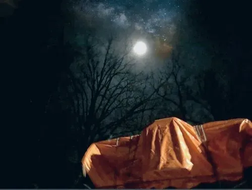 Item #108175385754913638577213036180834446424025282254093362741569171435638717678068 Media