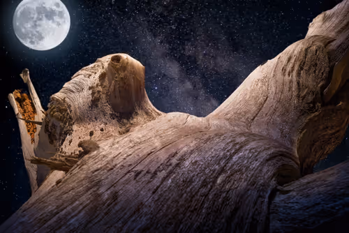 Item #79759977614981240173463193598040334510591662110008548721289304012631360667649 Media