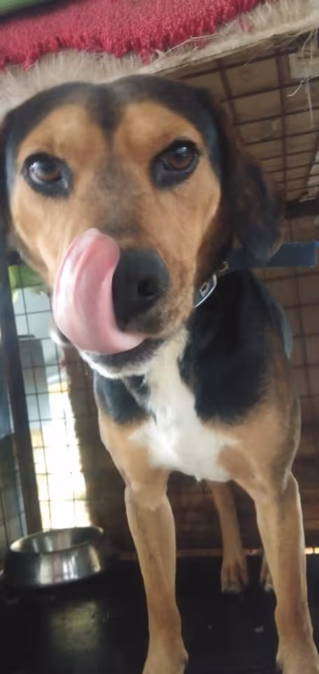 Item #23439807421783349604606688817165201350165750151979961366033252224904200192001 Media