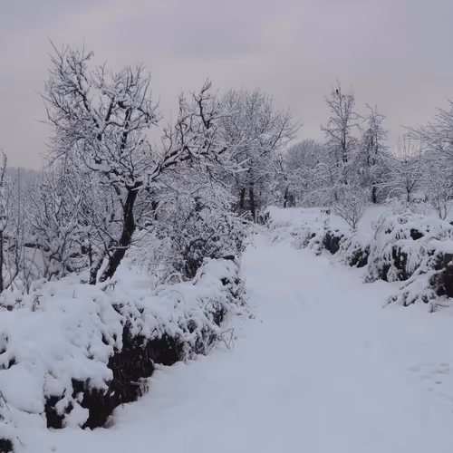 Item #101645309165580869491586595174322731374000989681409638124054554722268004483073 Media