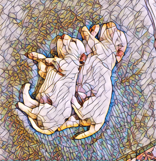 Item #49775347469148338497975615295710857595953595610684904343872467234827553210388 Media