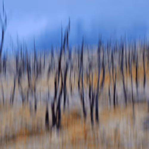 Item #23265726314410109476129301555838572111439838682222879854994044523503142567937 Media