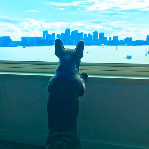 99031261785432219130552668818269695456905868997165113515571762440197510266881