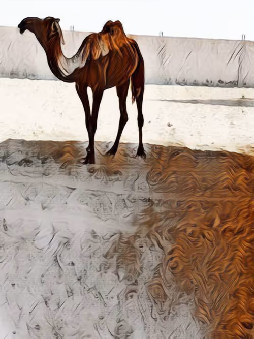 Item #36782780807699903135038144501557320909410292895804866127374726100707144892417 Media