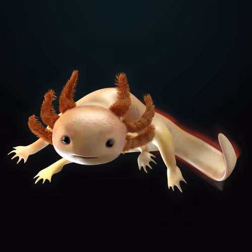 Item #39982110375740153587505644478940195082872270202471884348459982147999754092545 Media