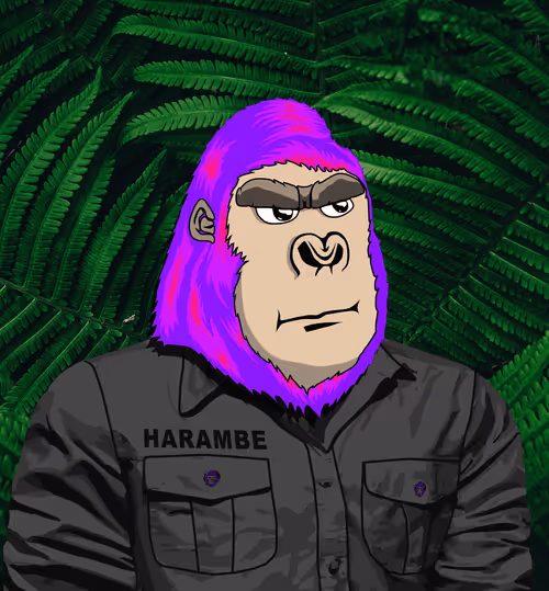 Item #48790520787155310426102062731270564561928034817995506544027698550248883355649 Media