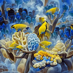 Coral Reef, #0097