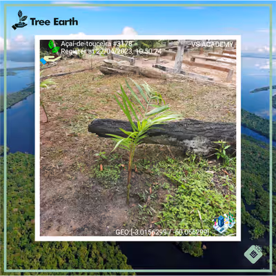 Item #8500196597889277390194123329501889087166328879864934763448349348183360405505 Media