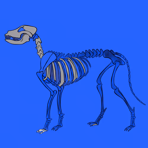 Item #66115251428437251400949335005857765940906863007353817121707627079218289967105 Media