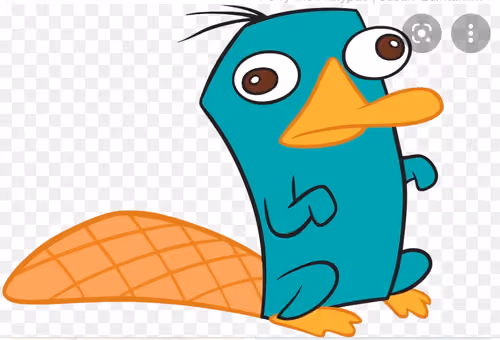 platy daddy