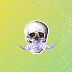 Skull #4 of 4