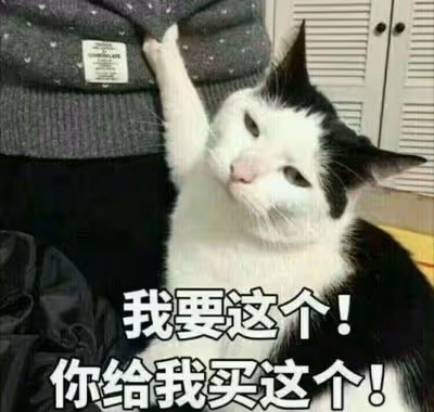 Untitled Collection #63902848