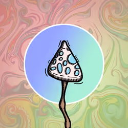 Shroodles #1
