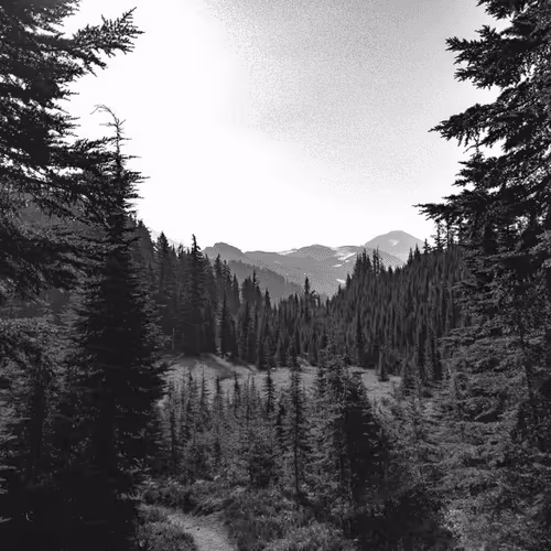 Item #2005862319158051831365229387864138466486092287762213337058068718629515427841 Media