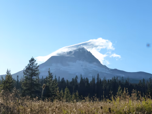 58794710509392551542040062735070557949504527085713565262229554294965892284417