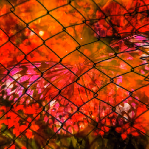 Item #1045865760048287641980429844842511638664369606987248898217920624574506991949 Media