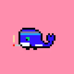 world of whales 