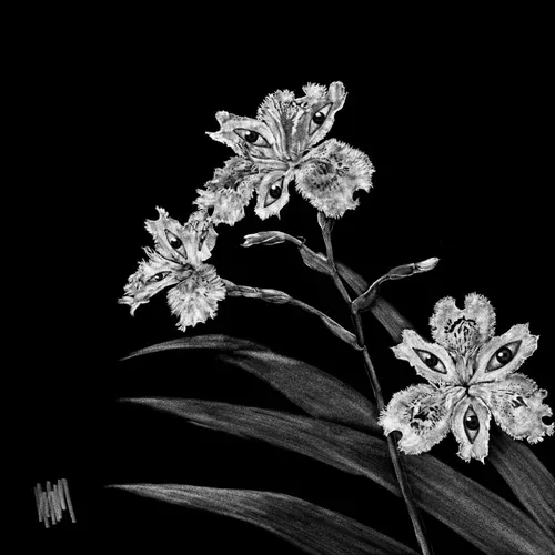 Item #77614511146470264358960422071308590595865824285225743465306556976414572150785 Media