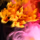 10863696535043874945882609620068616176770780992451120860649494605223621033985