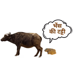 105050761401497191004773539515645462106008427788240903317161599060628203372545