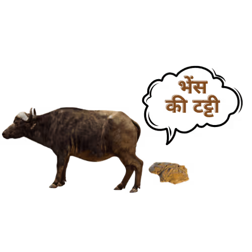 Item #105050761401497191004773539515645462106008427788240903317161599060628203372545 Media